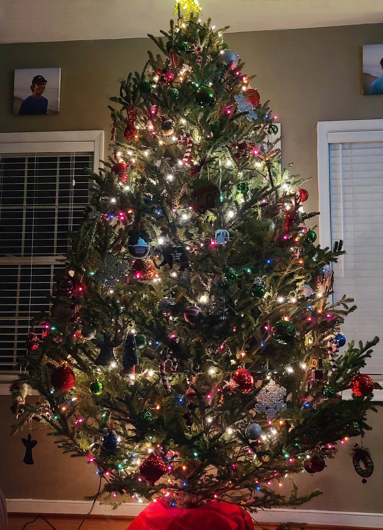 A christmas tree is lit up in a living room