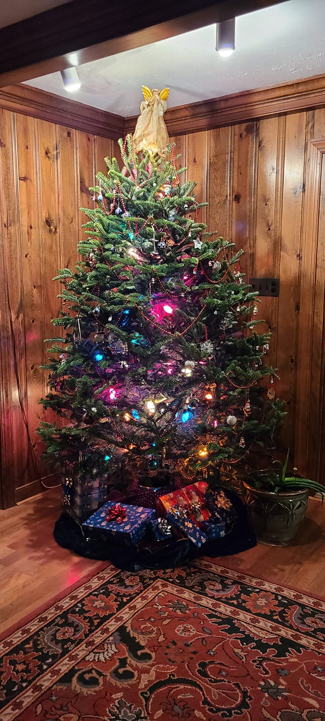A christmas tree with gifts underneath it is in a room with wooden walls.