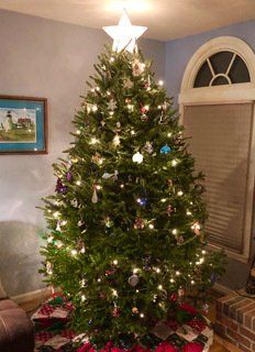 A christmas tree with a star on top is in a living room.