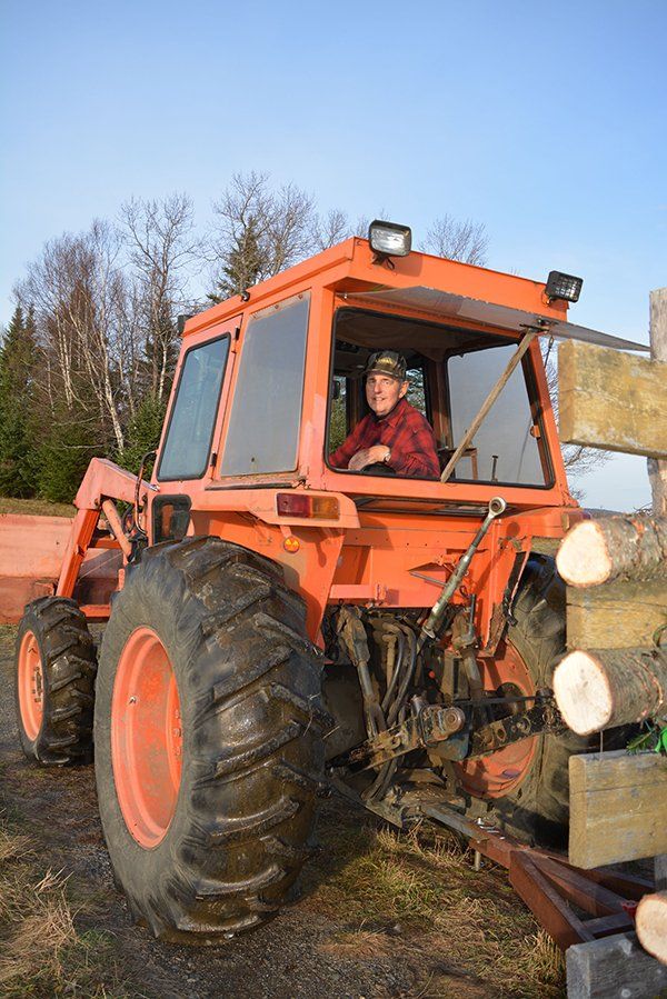 A man is driving an orange tractor in a field.