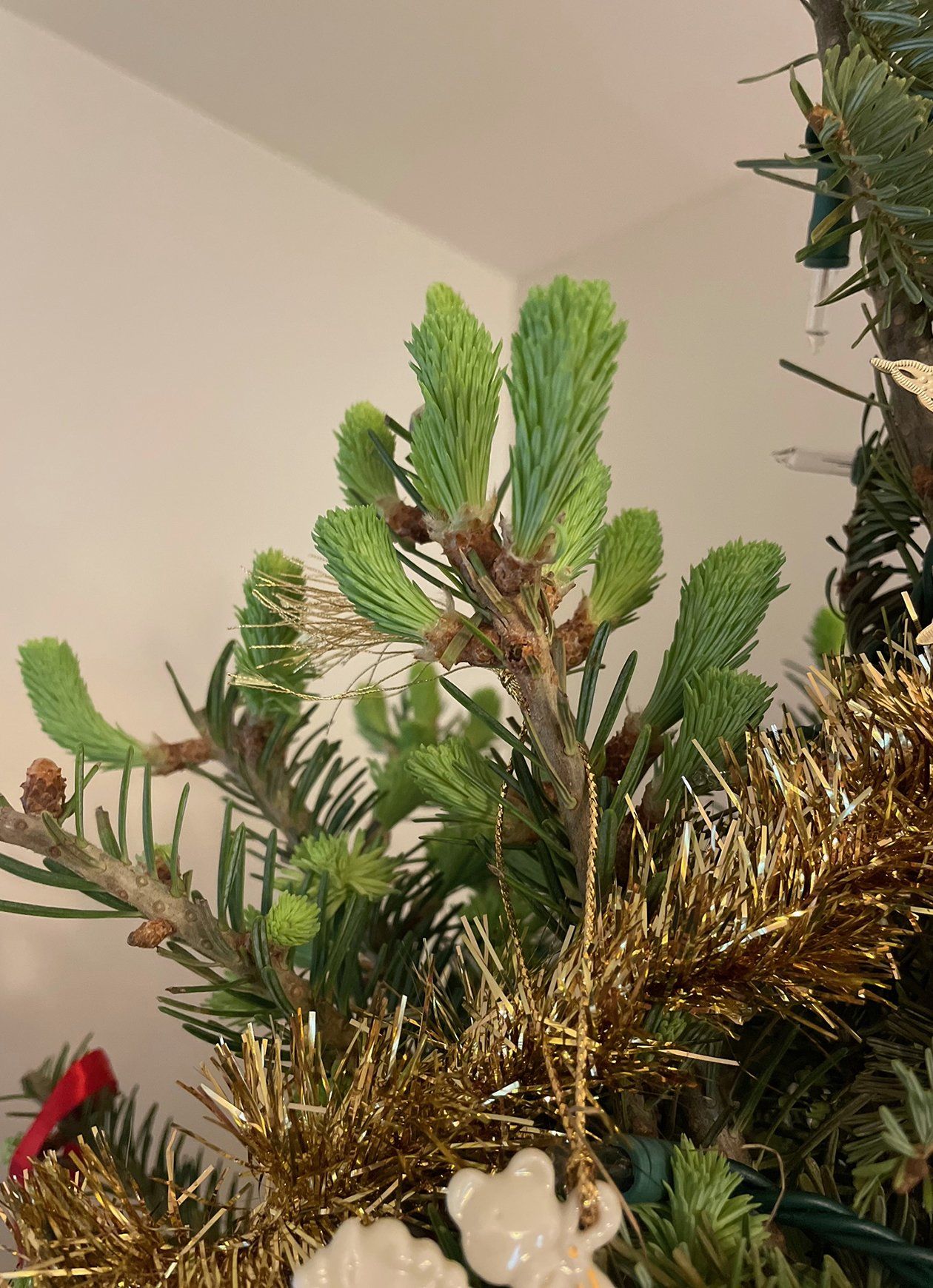 A close up of a christmas tree with gold tinsel and decorations