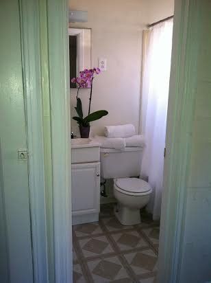 Bathroom with white toilet, vanity, and orchid. White curtain and neutral patterned floor.