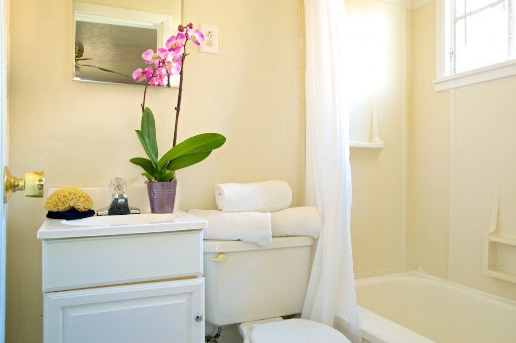 Bathroom with white fixtures, beige walls, orchid plant, and a shower curtain.