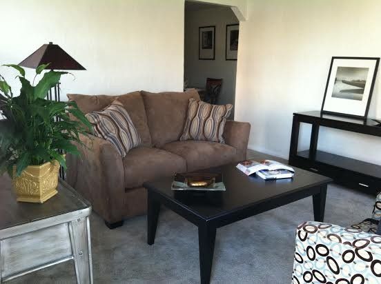 Living room with brown sofa, black coffee table, side table, and decorative items.