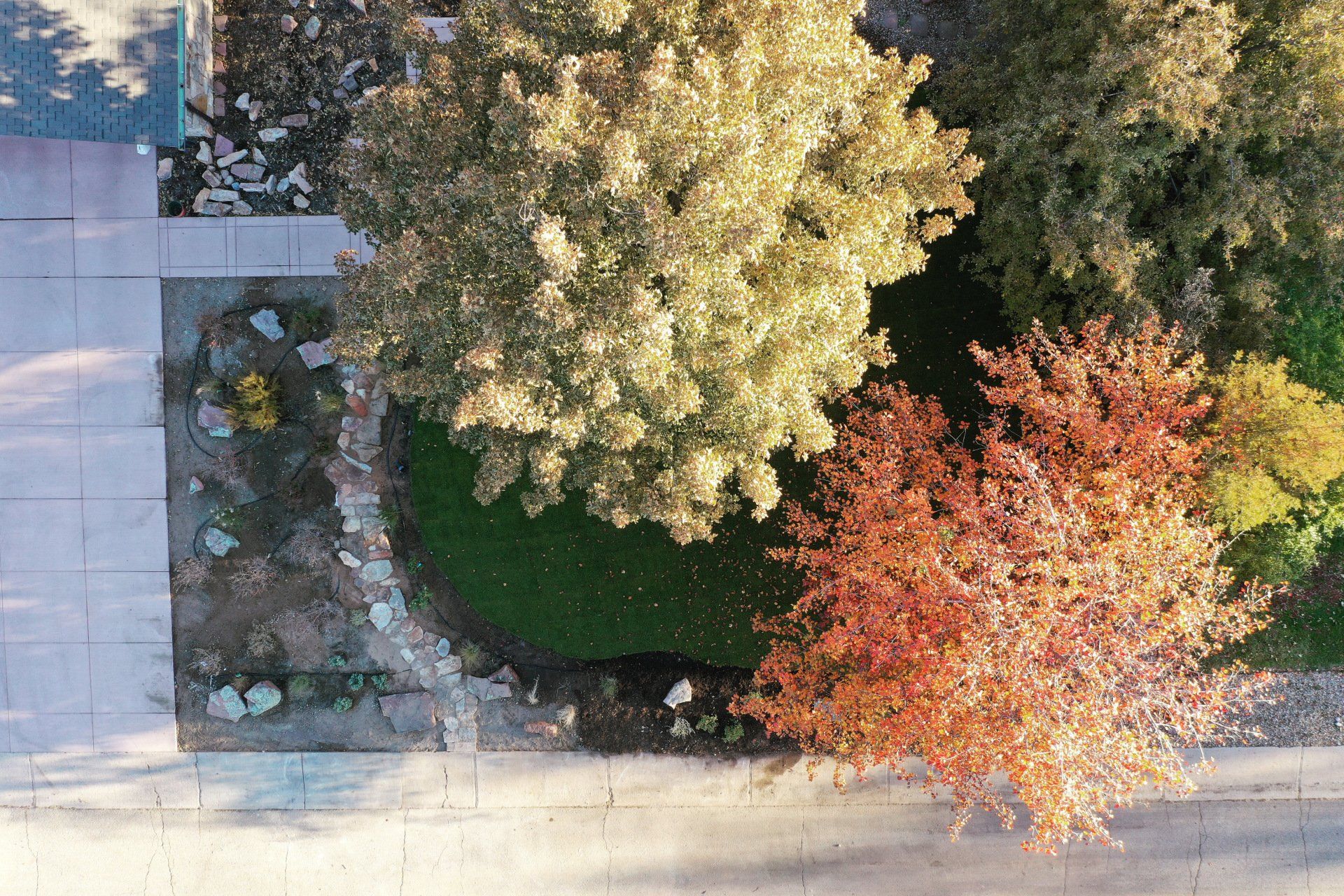 Overhead view of trees with fall foliage in a yard next to a sidewalk and street.