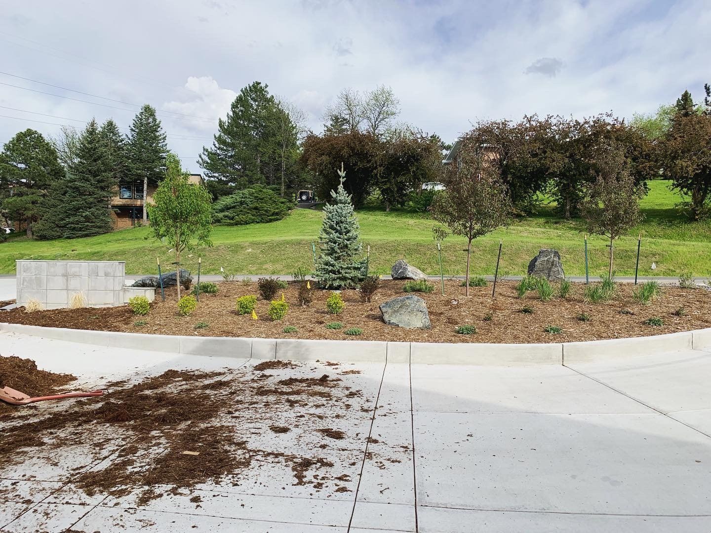 A landscaped roundabout with trees and a small evergreen against a grassy hill.