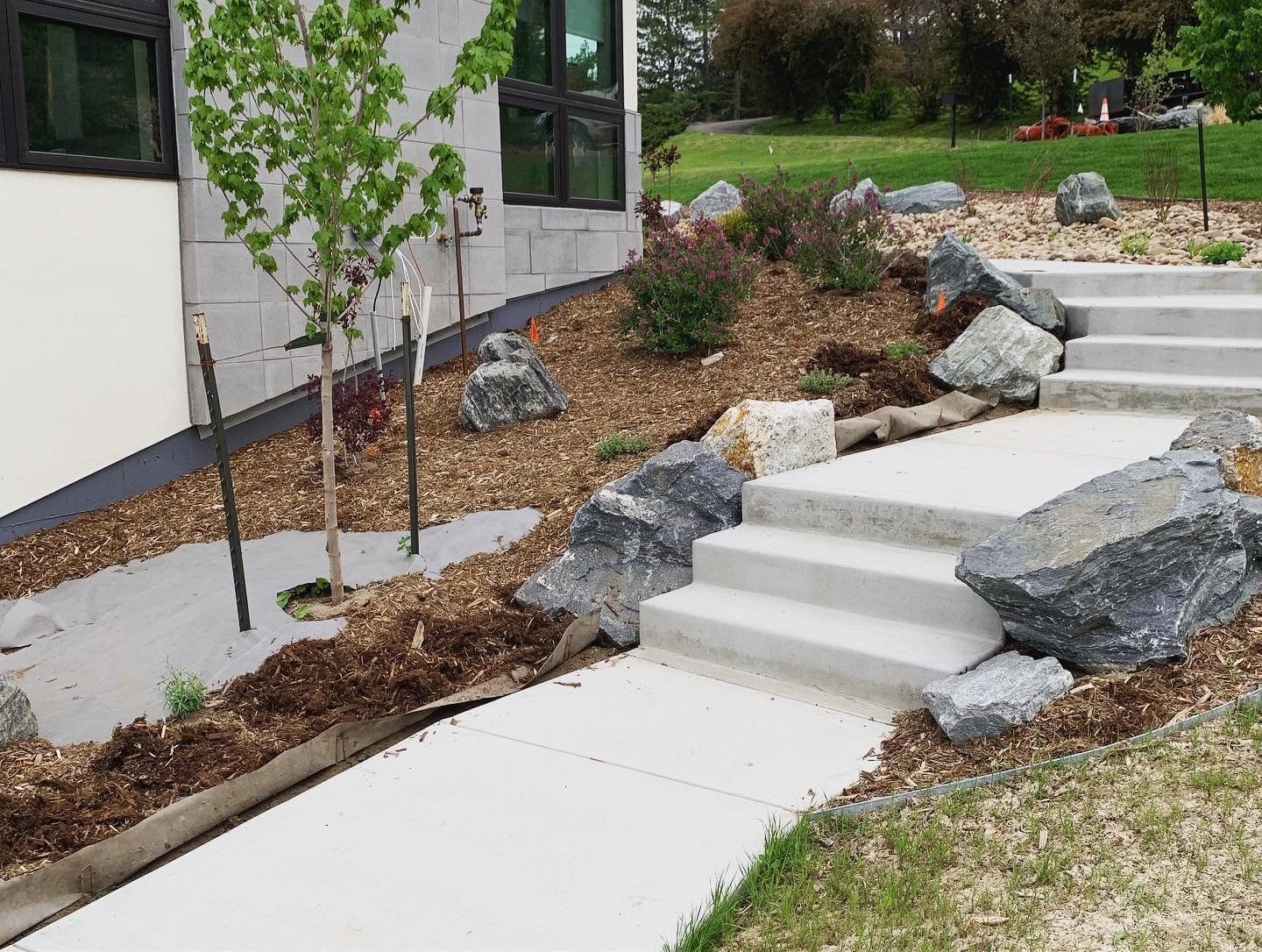 Concrete steps and walkway with large rocks and mulch landscaping next to a modern building.
