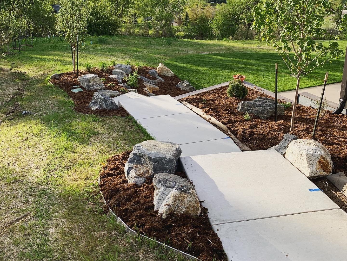 A concrete pathway curves through a landscaped yard with rocks, mulch, and small trees, under a sunny sky.