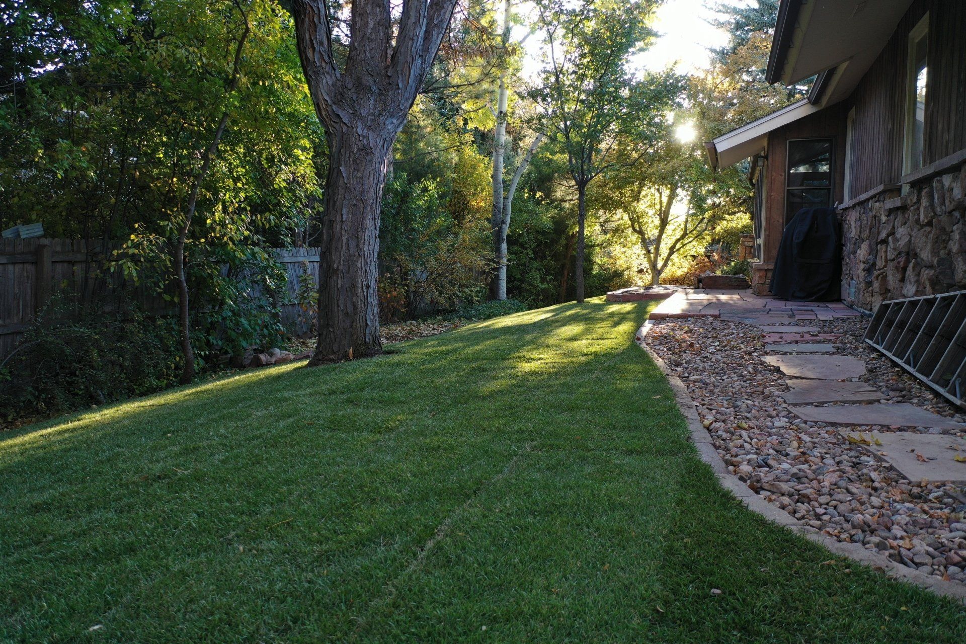 Green lawn next to a house with a stone exterior and stepping stone path, surrounded by trees.
