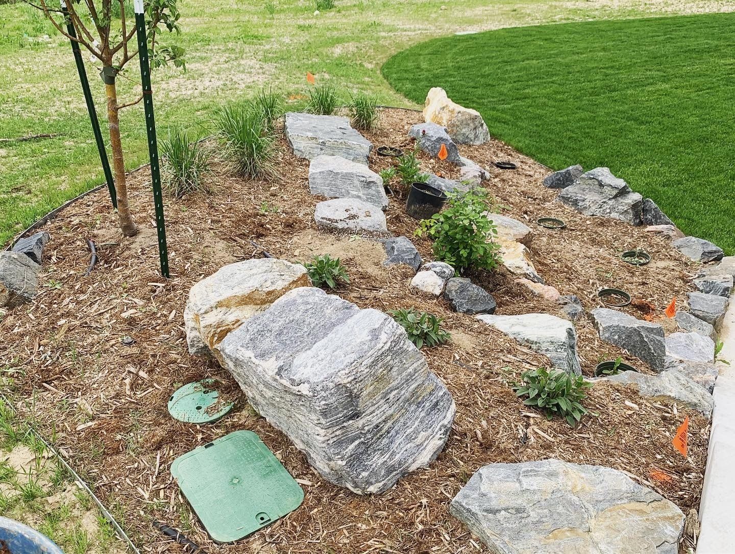 Rock garden with large boulders and small plants, mulched area next to green lawn.
