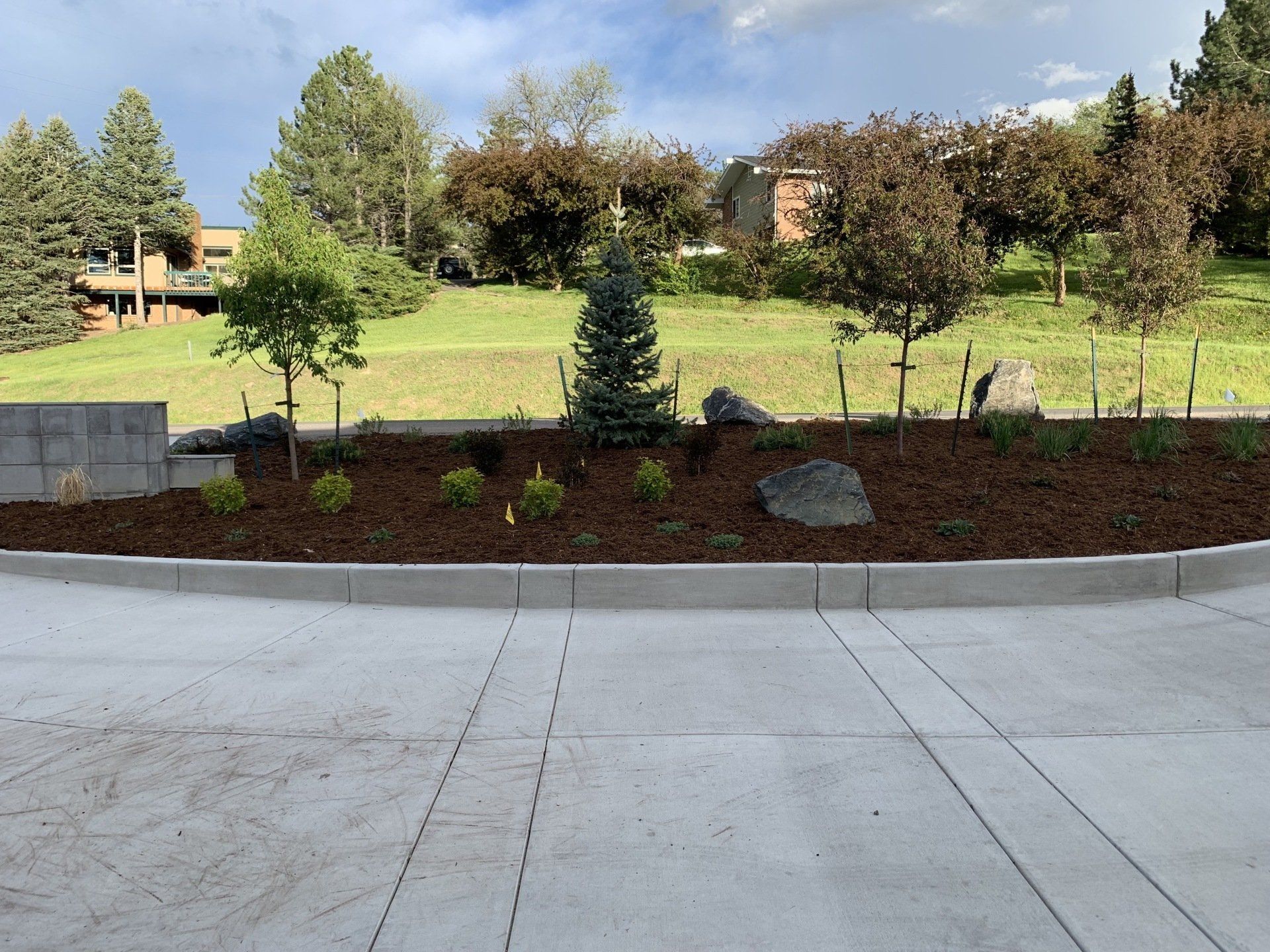 Landscaped area with trees and shrubs in front of a green hill, set on a concrete surface.