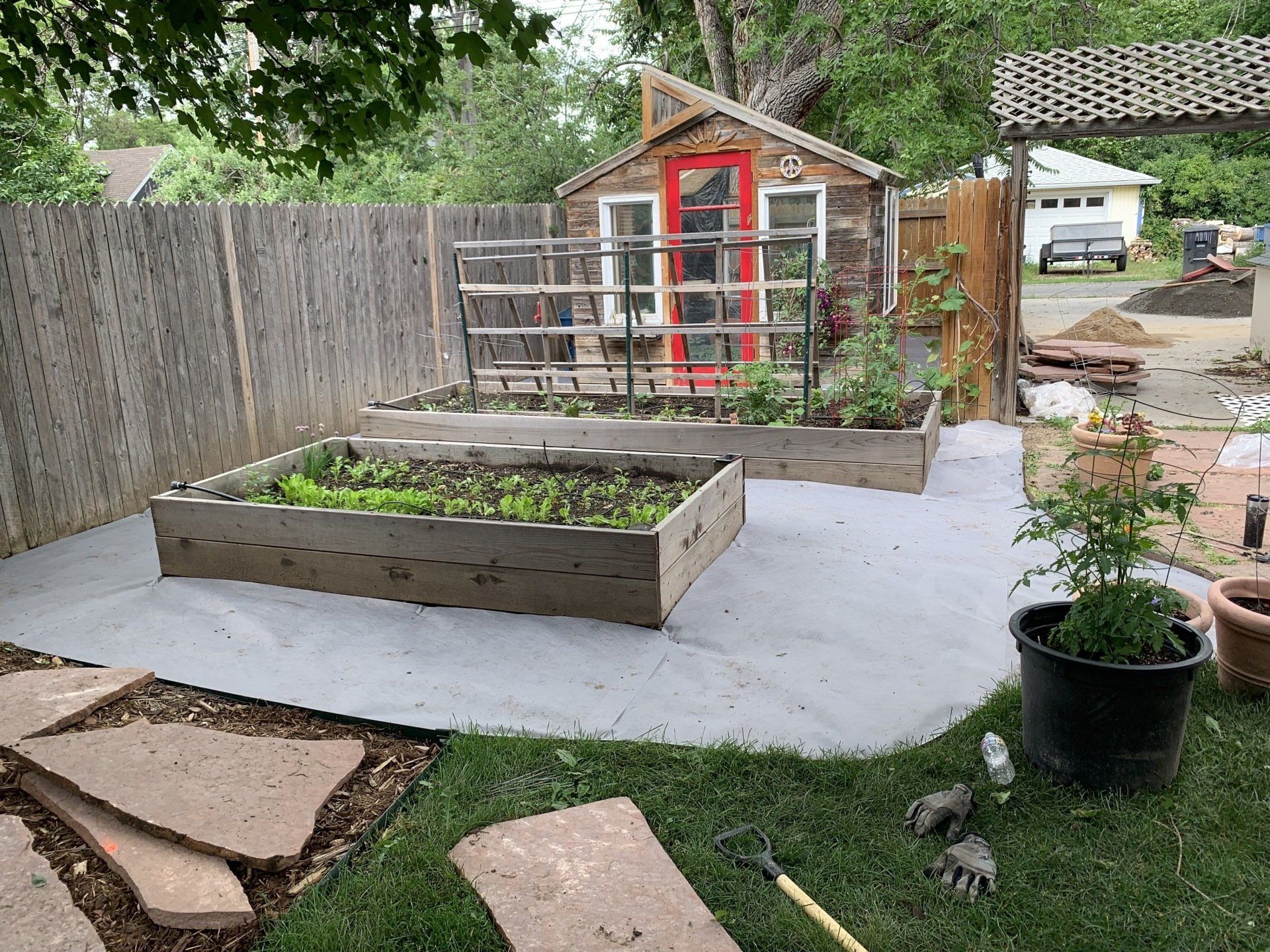 Raised garden beds in a backyard. One bed contains lettuce. A shed with a red door is in the background.