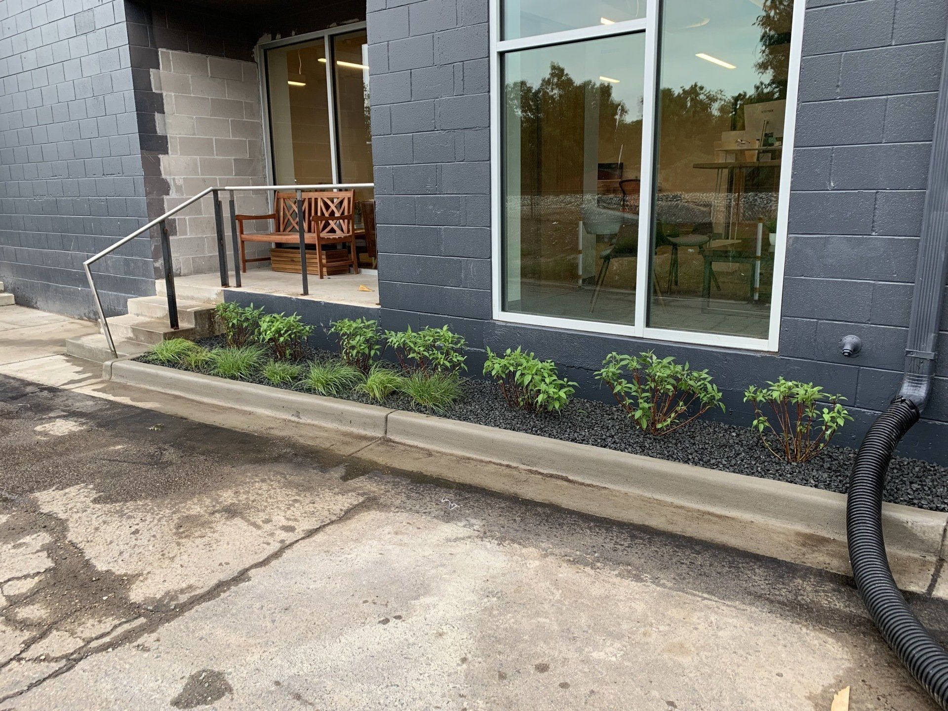 Exterior of a modern building with a small garden bed and a glass window. Black and gray facade.