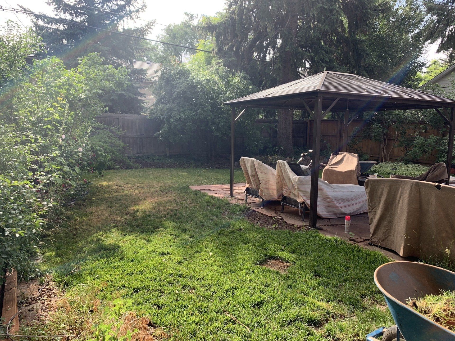 Backyard with gazebo, chairs covered, green grass, and trees. A wheelbarrow sits nearby.