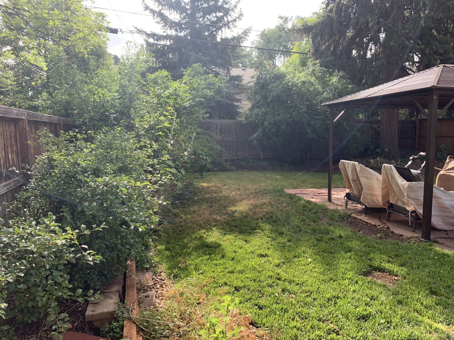 Backyard with gazebo, overgrown bushes, and wooden fence. Mostly green with sunlight.