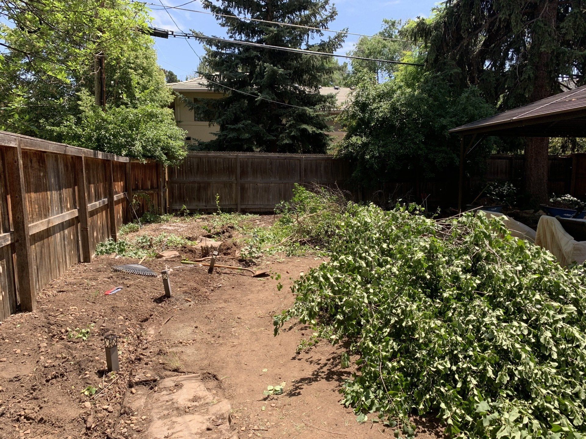 Backyard with a wooden fence, dirt, and cut branches.