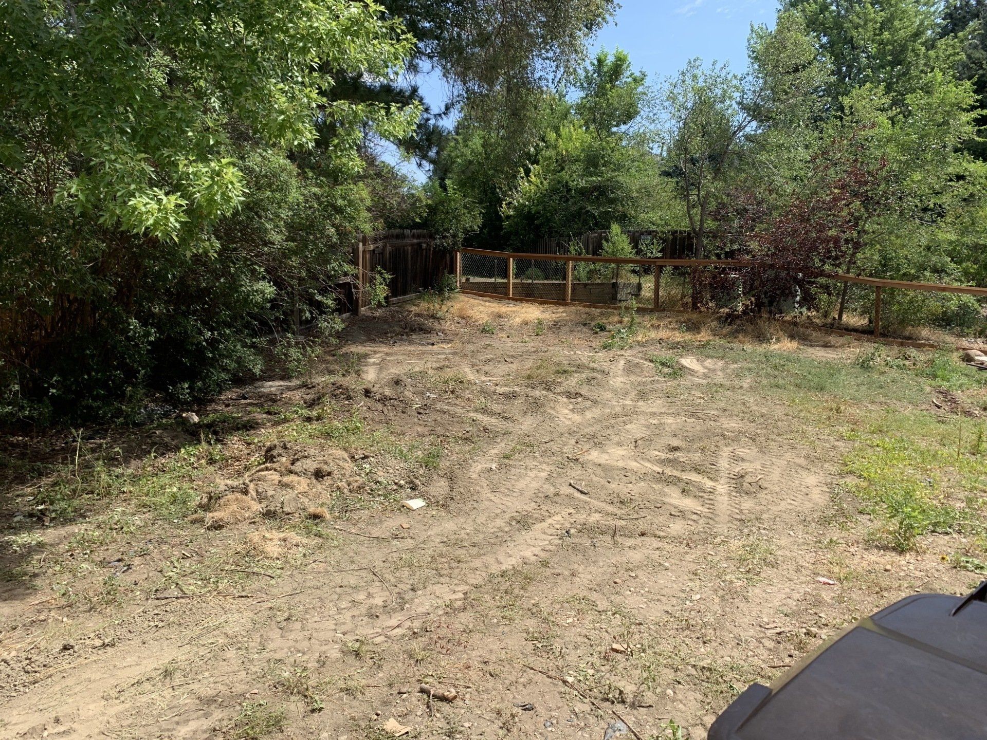 Dirt yard in front of a wooden fence with green trees and bushes in the background. Sunny day.