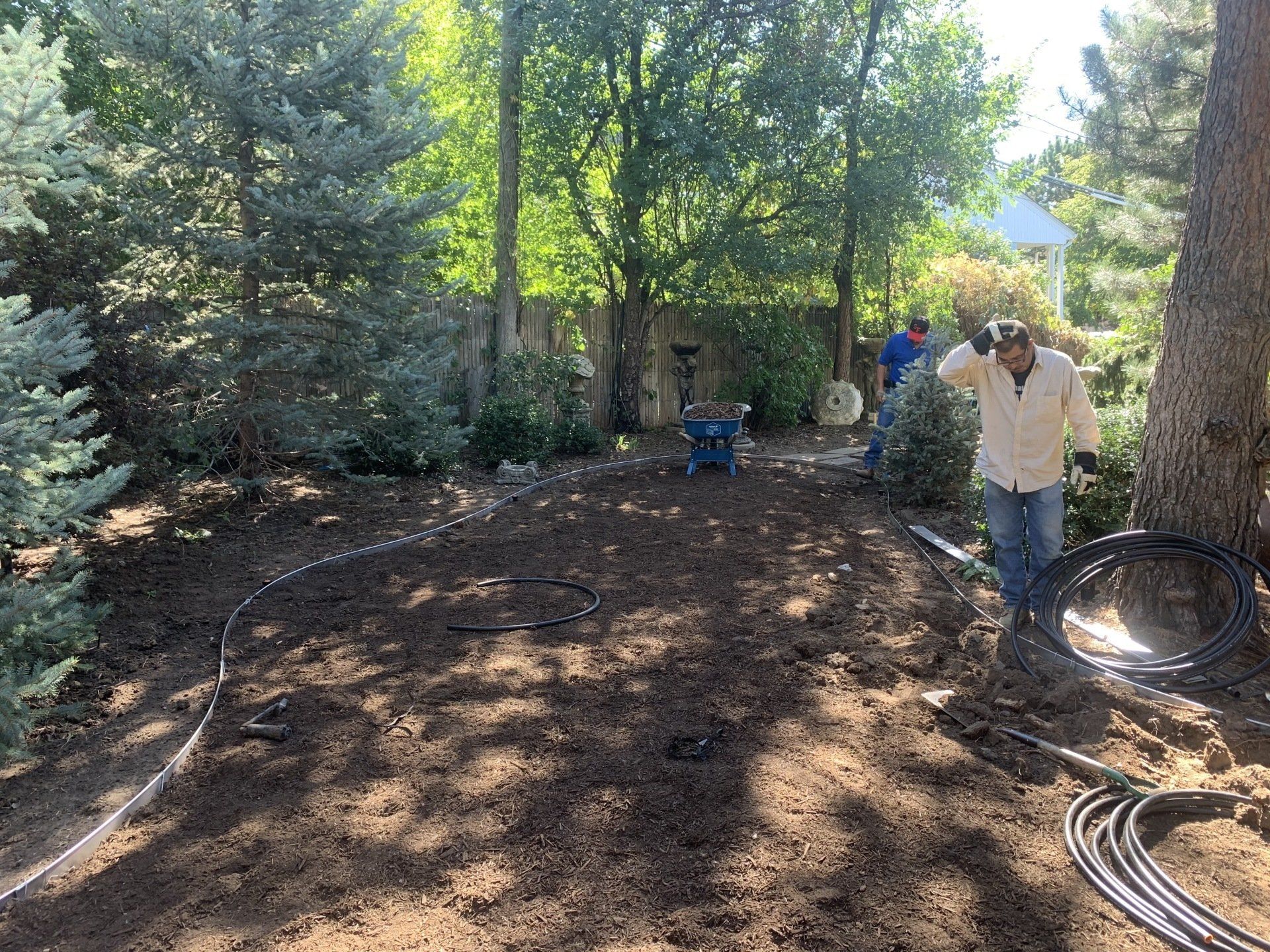 Men installing irrigation in a backyard, surrounded by trees and a fence.
