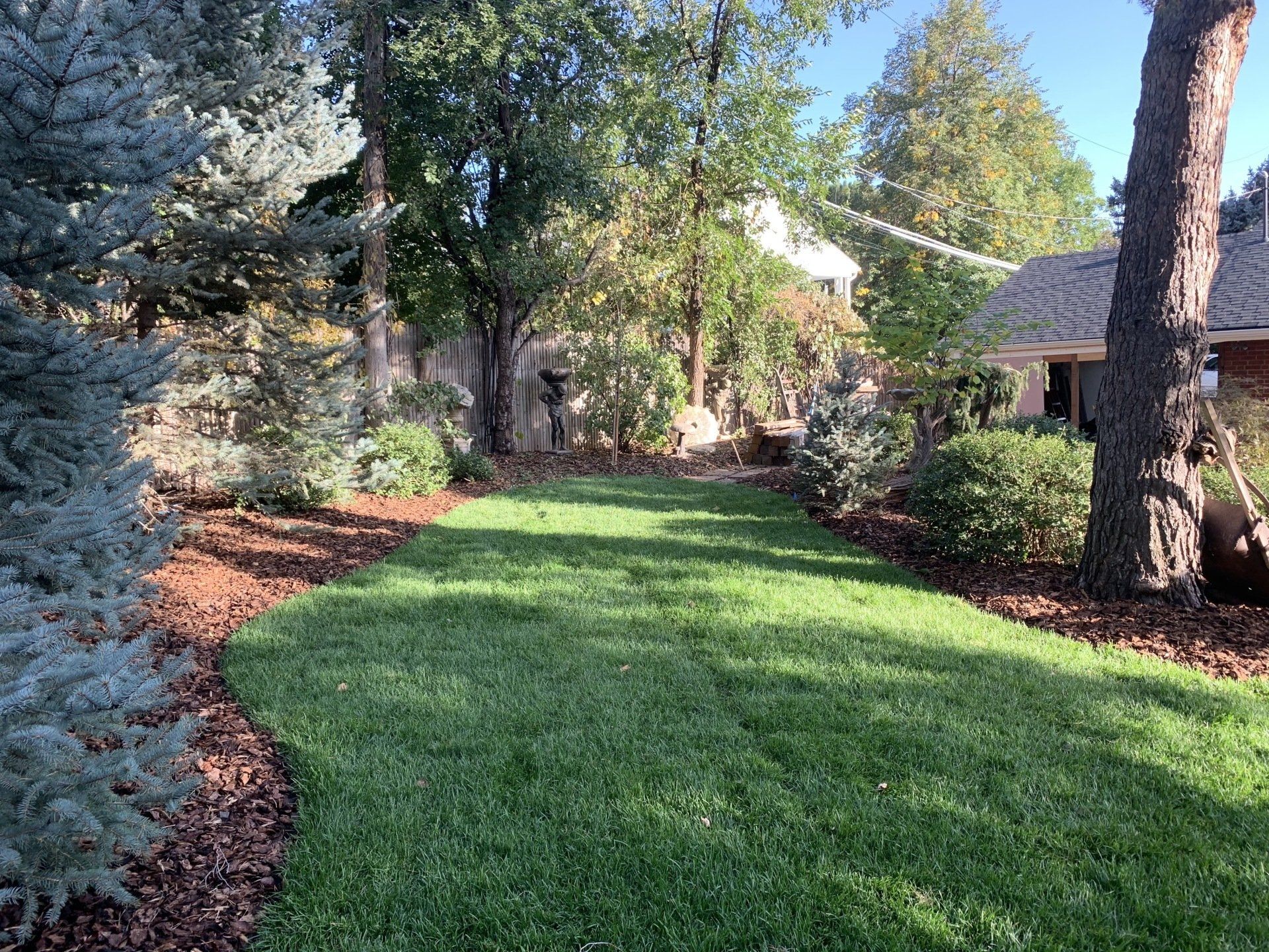 Green lawn in a backyard, flanked by trees and shrubs with mulch beds.