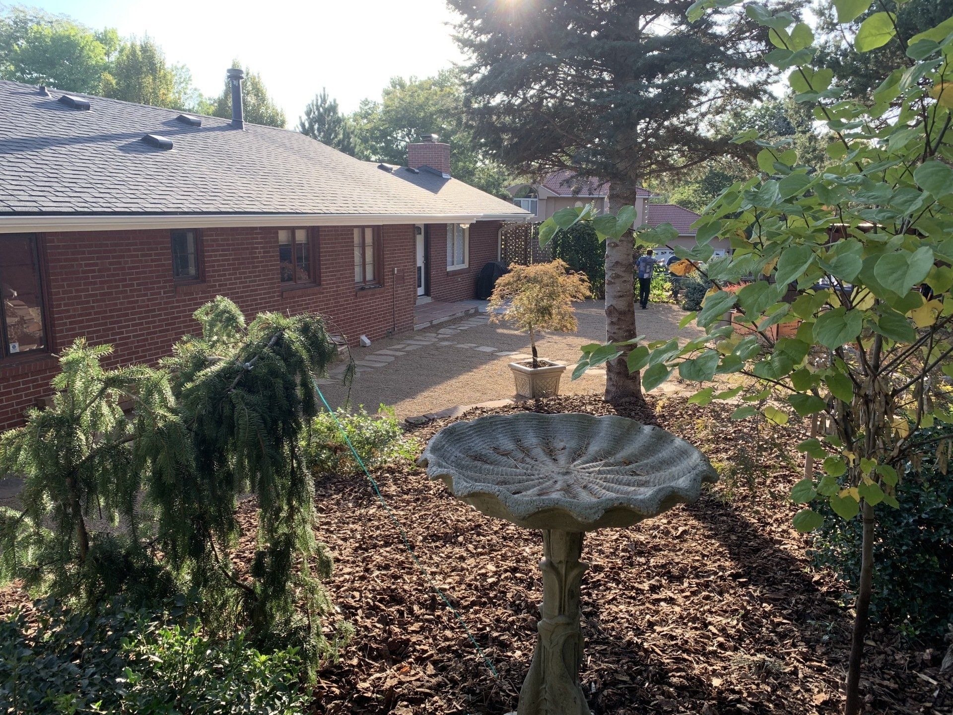 A backyard with a birdbath, trees, and a brick house under a sunny sky.
