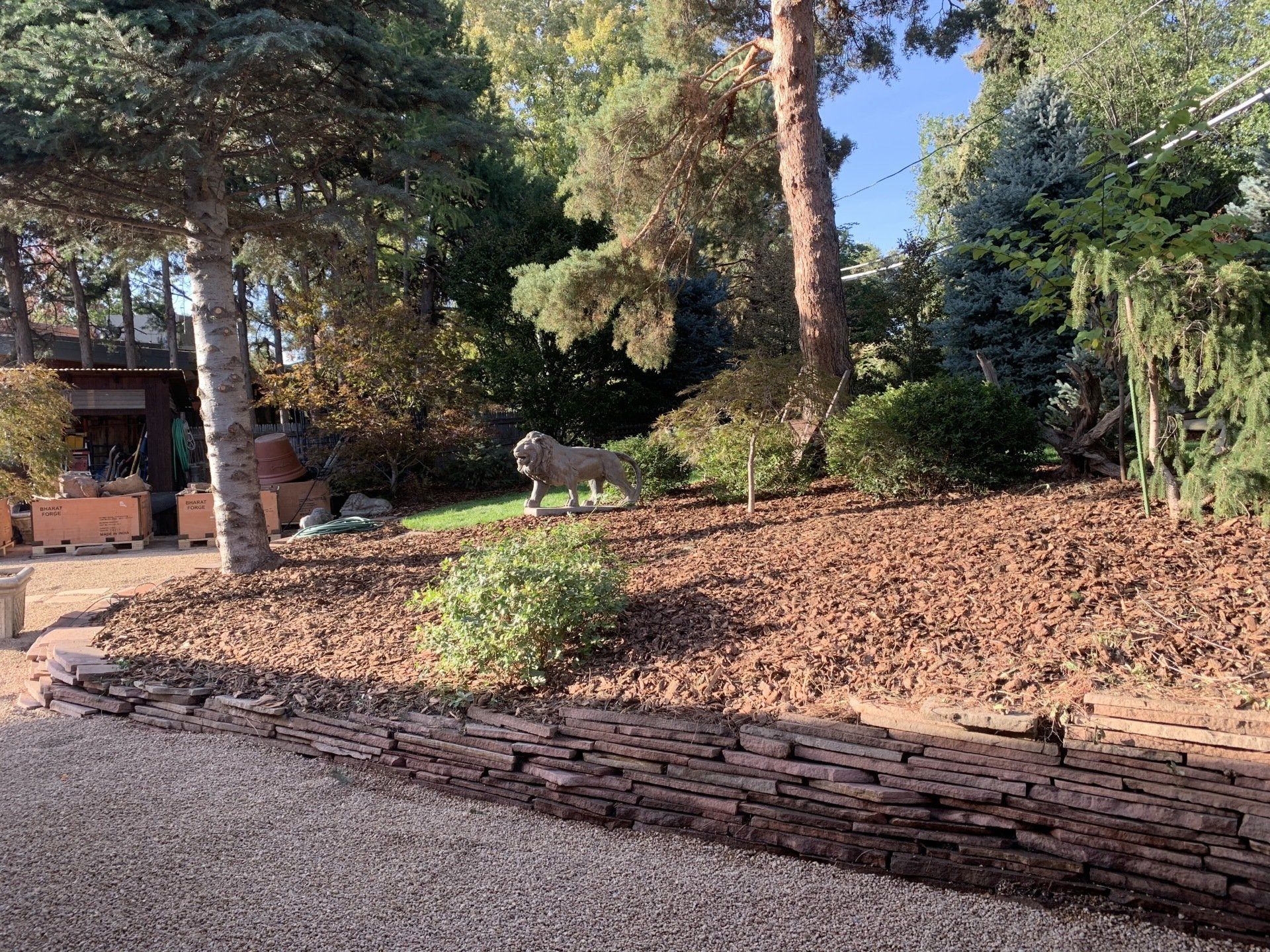 A garden with mulch, plants, and a lion statue. Trees, bushes, and a gravel path.