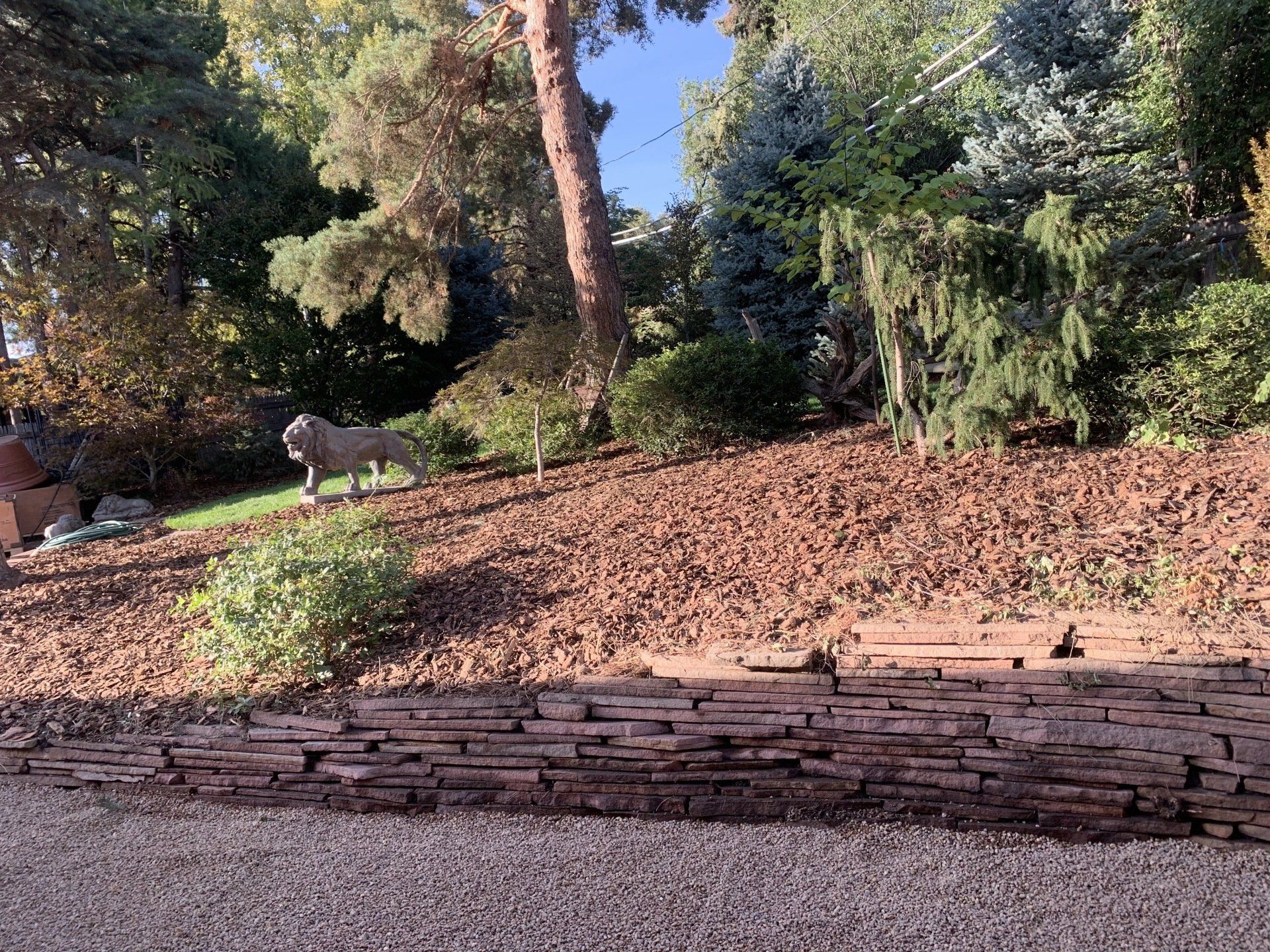 Stone wall borders a bark-covered hillside with greenery and a stone lion statue in a sunny outdoor setting.