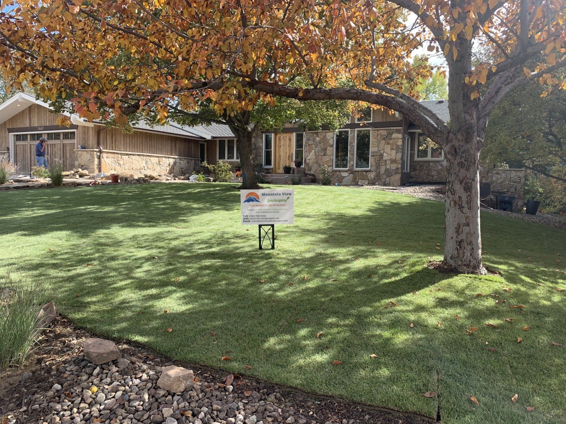 Lawn and stone home under a fall tree; a sign on the lawn.