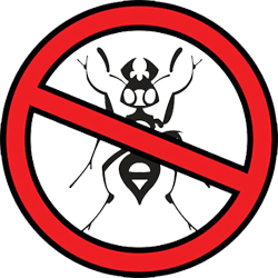 Ant Control — Rid-A-Pest Exterminators in Littleton, CO Ant Control — Rid-A-Pest Exterminators in Littleton, CO