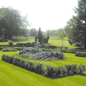 garden-services-wandsworth-london-all-about-gardens-garden-services
