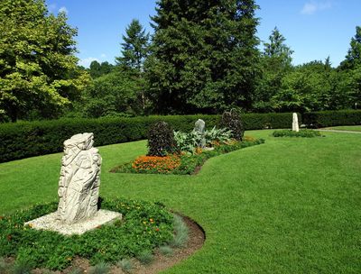 garden-services-wandsworth-london-all-about-gardens-garden-services