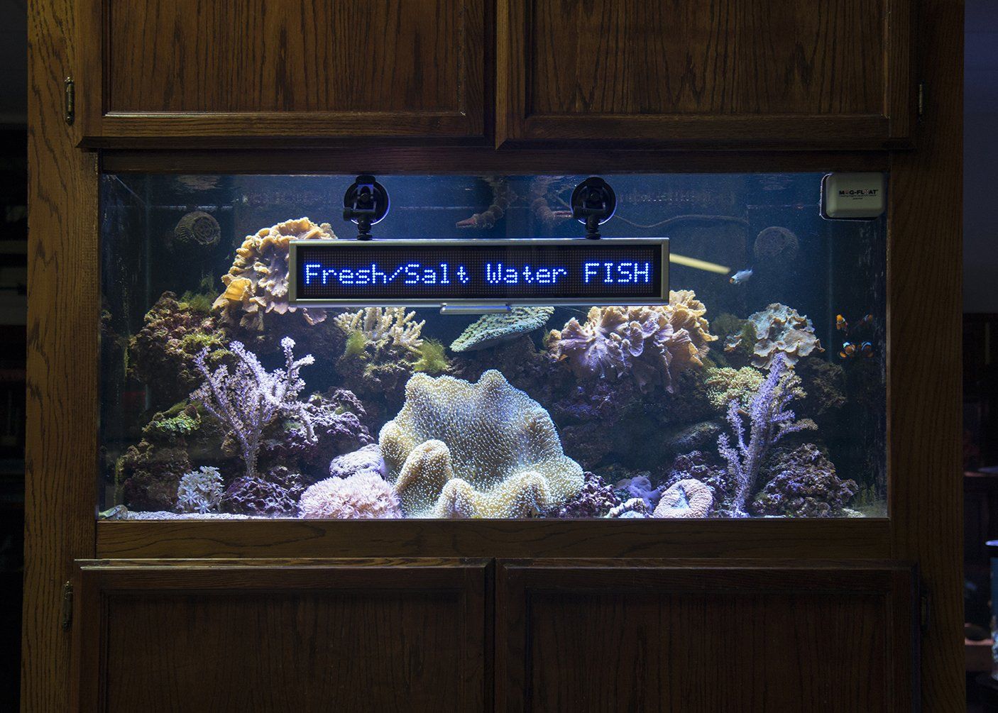 Blue LED Sign