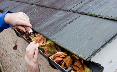 Gutter cleaning 