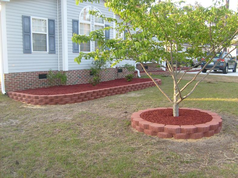 A tree is surrounded by red mulch in front of a house