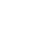 money icon
