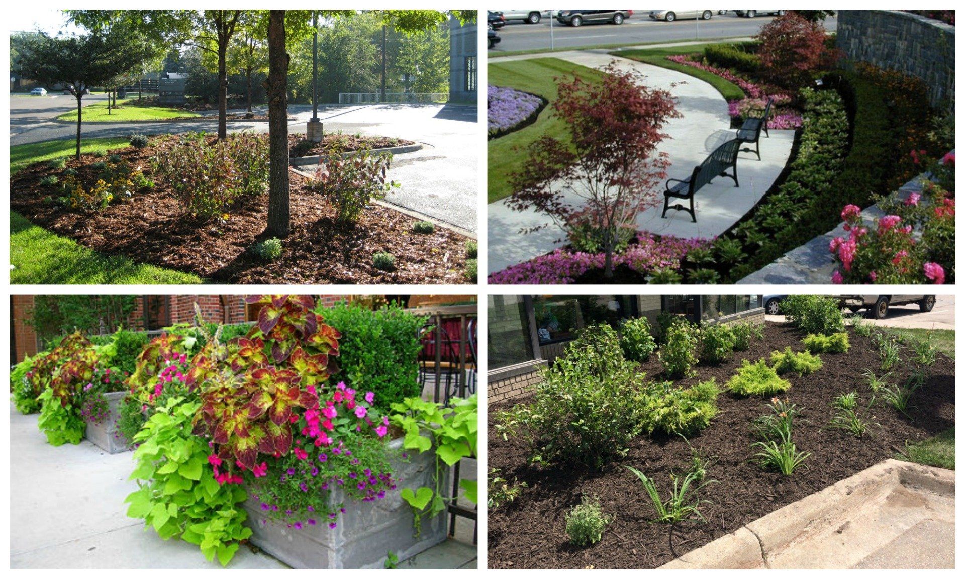 A collage of four pictures of different types of gardens