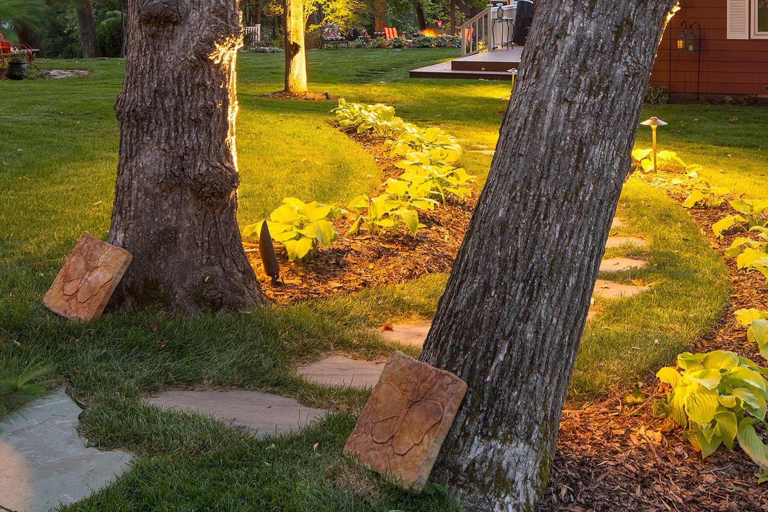 A couple of trees in a yard with a house in the background.