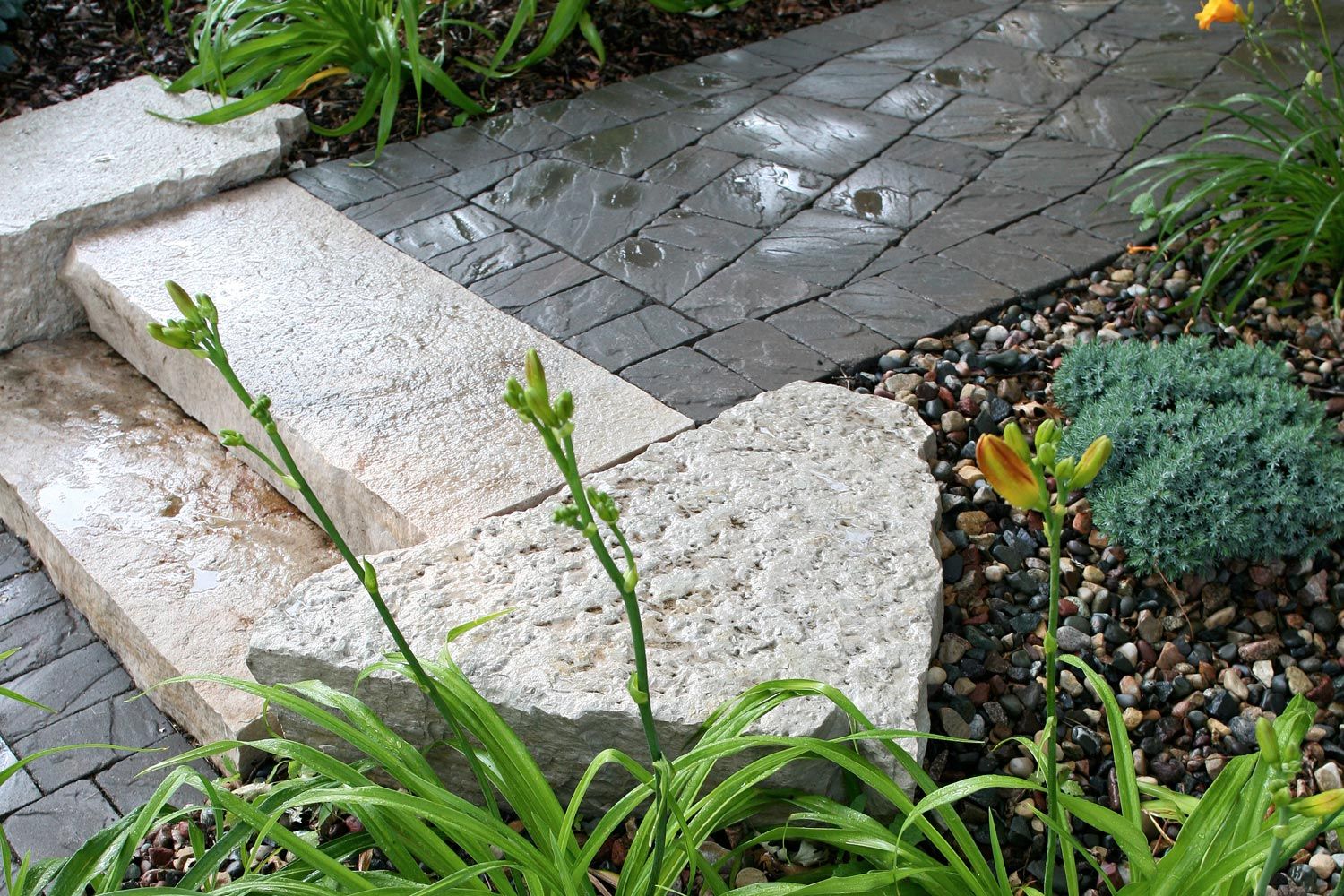 A stone walkway surrounded by plants and rocks in a garden.