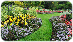 There are many different types of flowers in the garden.