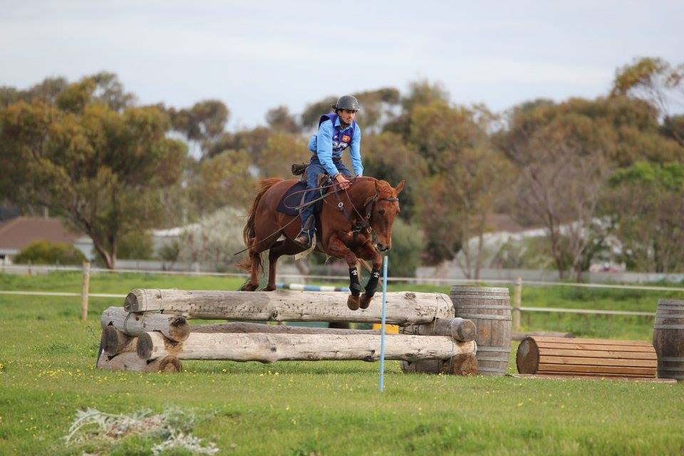 rider jumping a large log jump