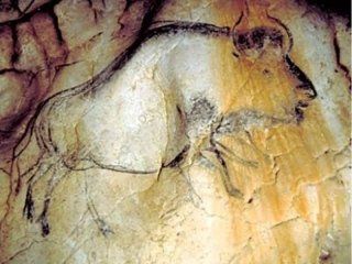 Dipinto rupestre raffigurante un bue
