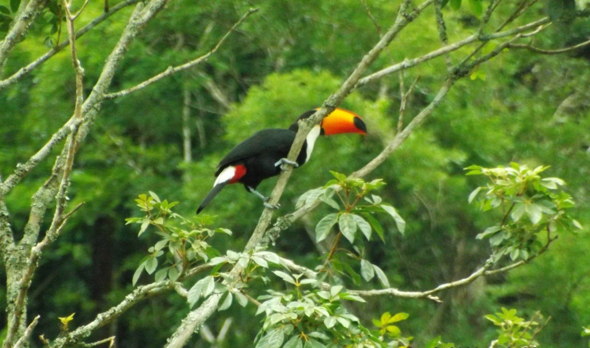 Pousada em Itaipava