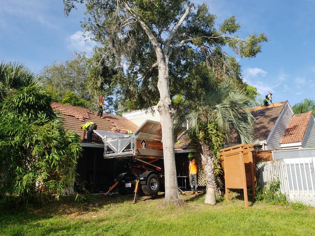 a man is cutting a tree in front of a house .