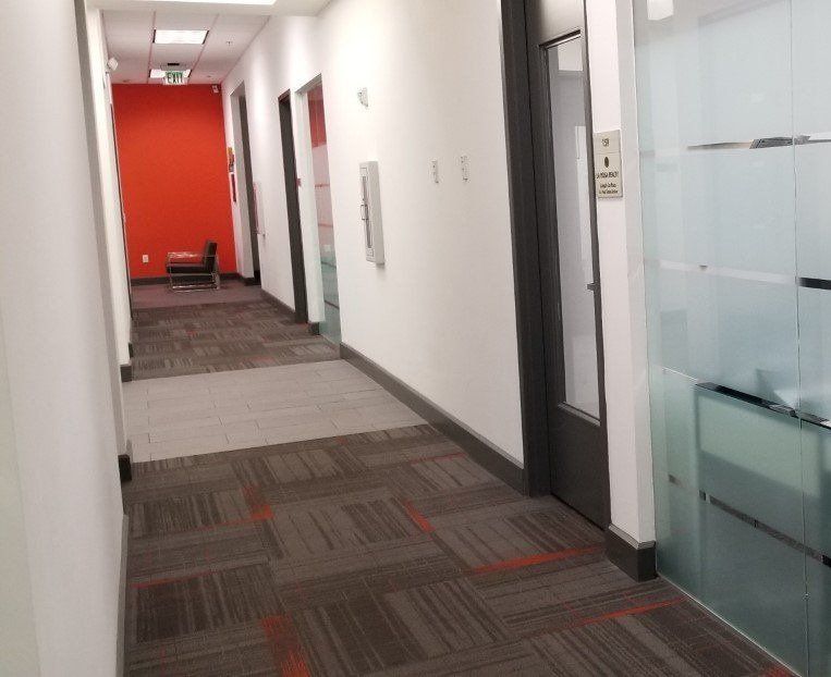 Office Hallway Floor Plant — Weston, FL — Weston Commercial Center