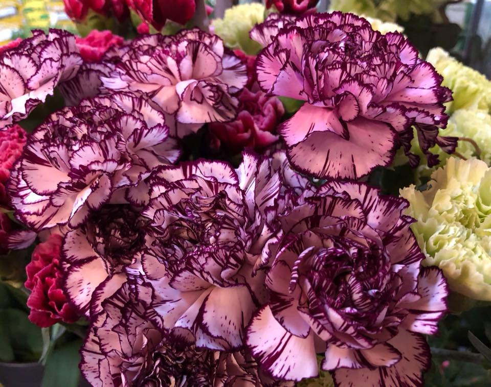 Blumen