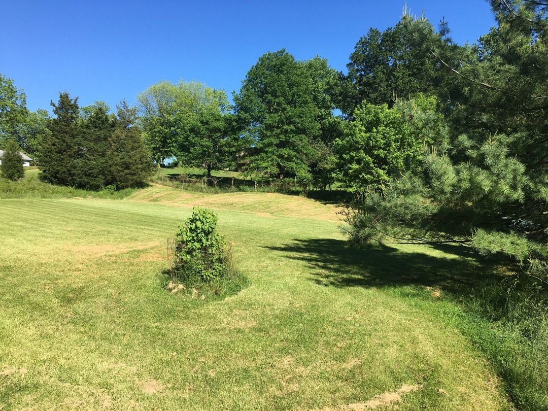 Almost Home Pet Resort grounds
