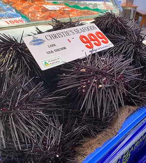 Sydney Fish Market