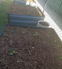 Roo Garden