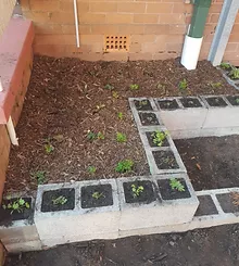 Roo Garden