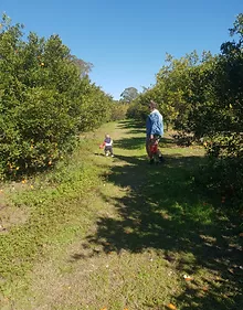 family members walking in lawn