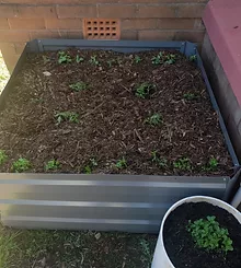 soil